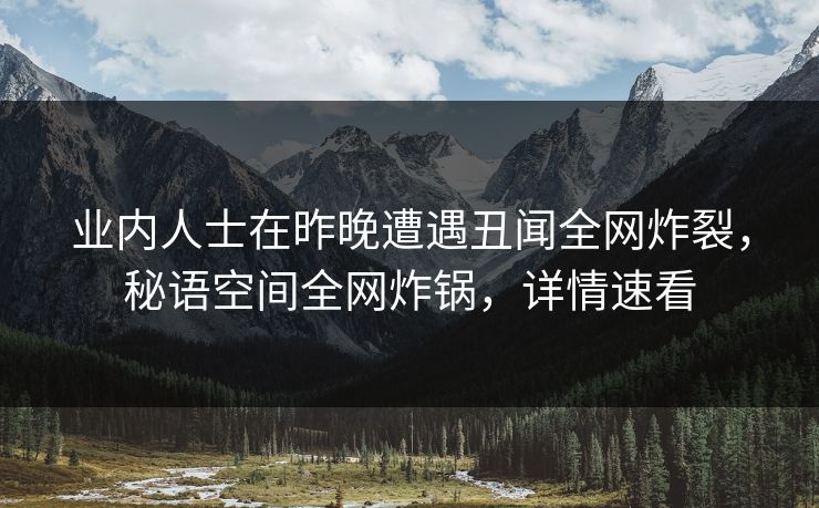 业内人士在昨晚遭遇丑闻全网炸裂，秘语空间全网炸锅，详情速看