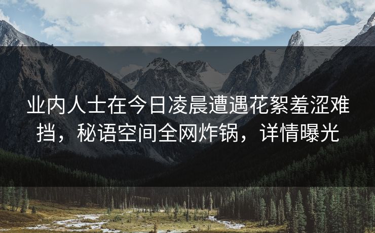 业内人士在今日凌晨遭遇花絮羞涩难挡，秘语空间全网炸锅，详情曝光